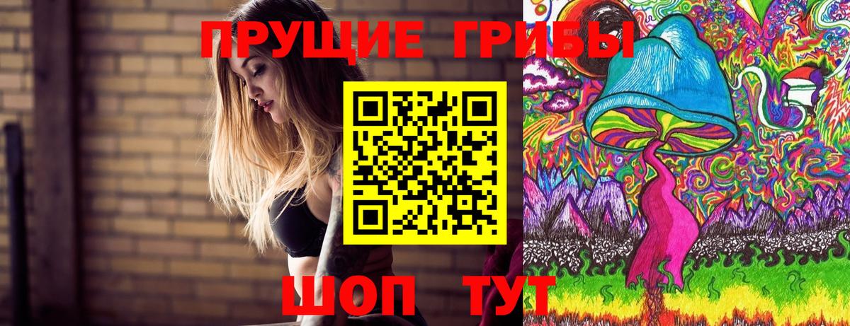 Галлюциногенные грибы GOLDEN TEACHER  Вход с VPN  Алатырь  Галлюциногенные грибы ЛСД 