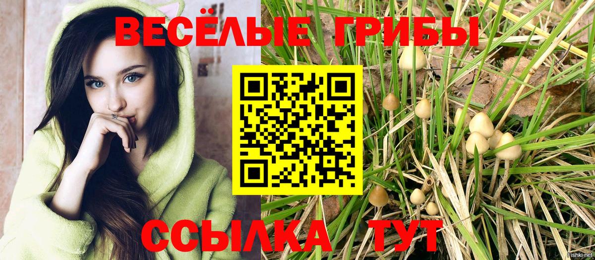 Галлюциногенные грибы MAGIC MUSHROOMS Алатырь